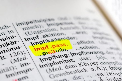 Dictionary entry