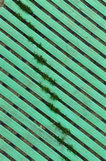 Board-like flooring made of green plastic with grass growing through