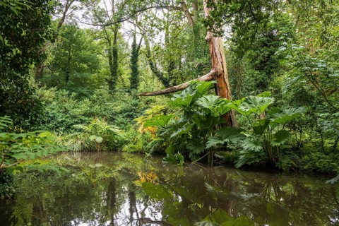 Floodplain landscape of the Erft
