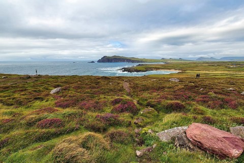 Viewpoint Clogher Head