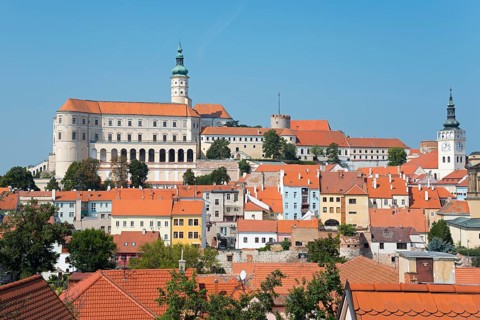 Town view