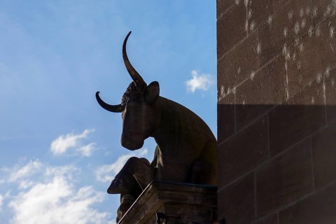 Sculpture of the ox on the portal from 1599