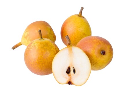 Pear variety Goldschwaenzchen