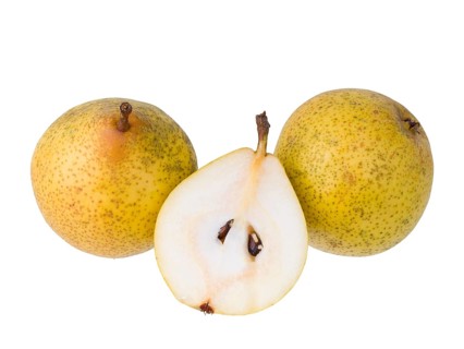 Pear variety Lemon pear