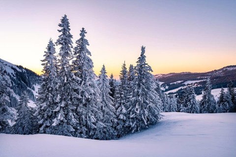 Snow-covered winter landscape on the Gurnigel Pass