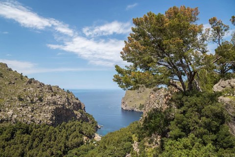 View of Sa Calobra Bay