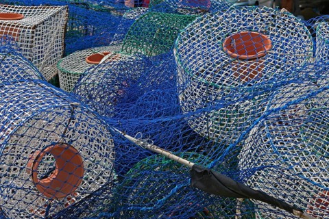 Fish traps and nets