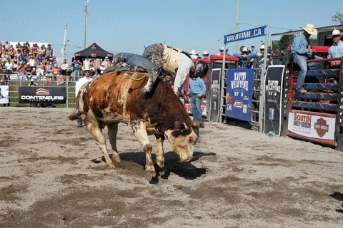 Rodeo competition
