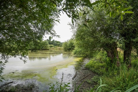 Floodplain landscape of the Erft