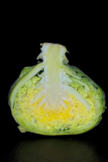 Halved brussels sprout