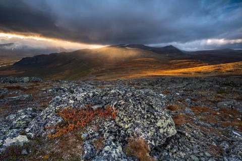 Autumn fell landscape