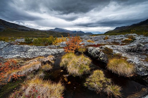 Autumn fell landscape
