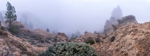 Sunrise in fog