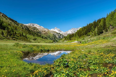 Alpine pasture in the Riedingtal nature Park