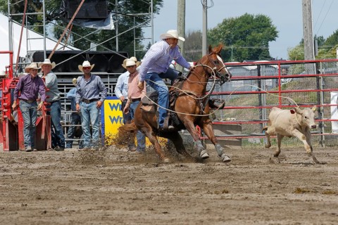 Rodeo competition