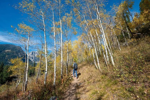 Young man on the hiking trail to Taggart Lake