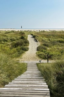 Boardwalk in the dunes near Wittduen