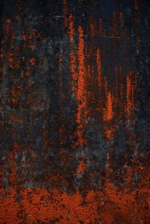House facade with red algae growth