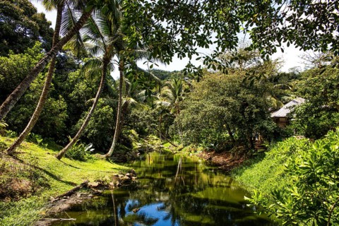 Brackish water behind Petite Anse