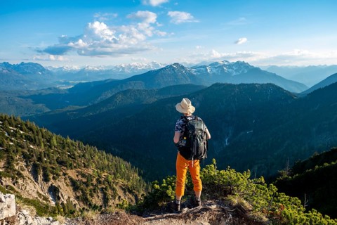 Hikers on a hiking trail