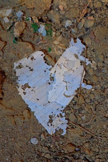 Tattered notebook pages in the shape of a heart at the bottom