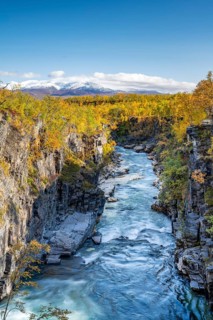 Autumn Abisko Canyon