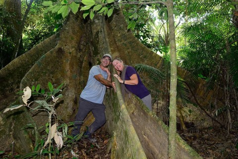Tourists between Buttress root of a jungle giant