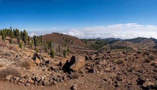 Landscape at Pico de las Nieves