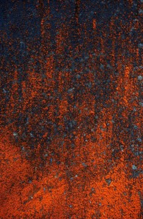House facade with red algae growth