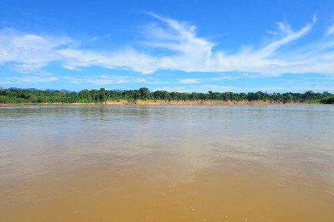 Fractured clay bank of the Rio Alto Beni