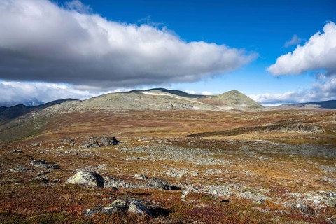 Autumn fell landscape