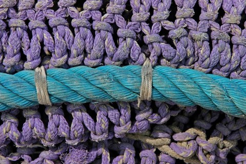 Green rope on purple fishing net