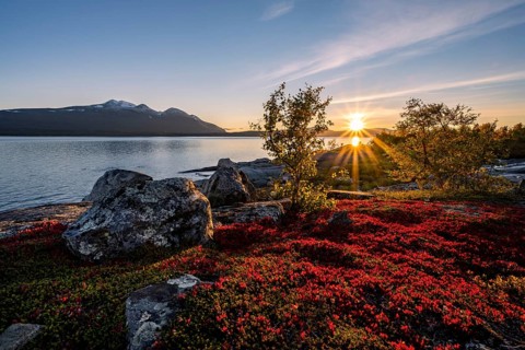 Autumnal fell landscape with lake Akkajaure and mountain range Akka