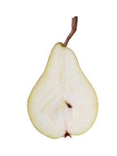 Pear variety Calebasse de Tirlemout