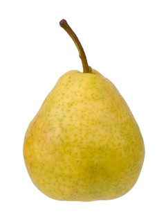 Pear variety Summer apothecary pear