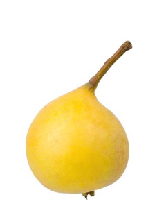 Pear variety Sugar pear
