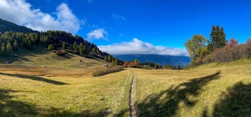 Single Trail at the Rescheralm