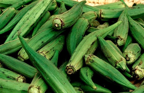 Okra