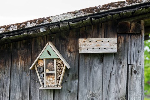 Insect hotel on a wooden wall