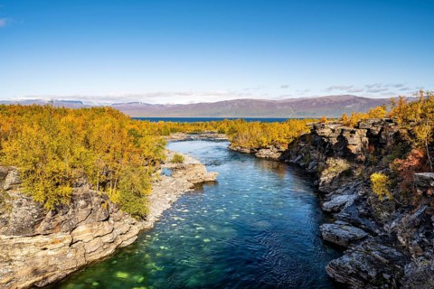 Autumn Abisko Canyon