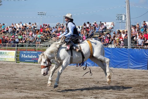 Rodeo competition