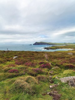 Viewpoint Clogher Head