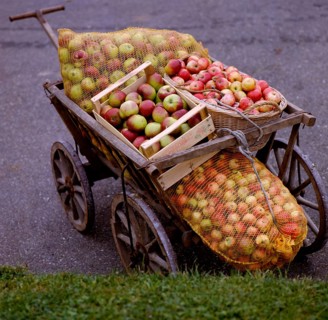 Apple Harvest in Autumn Handcart
