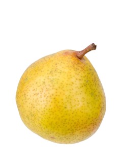 Pear variety Lemon pear