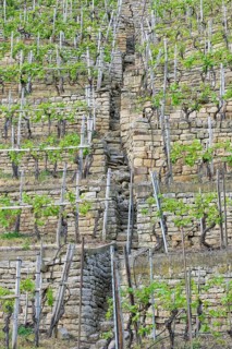 Vineyard stairs