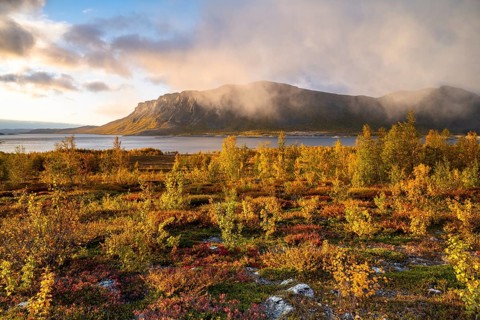 Autumn fell landscape