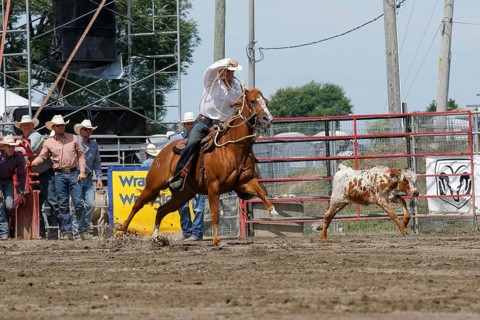Rodeo competition