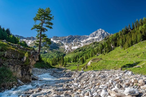 Grosser Kesselbach flows through Alm