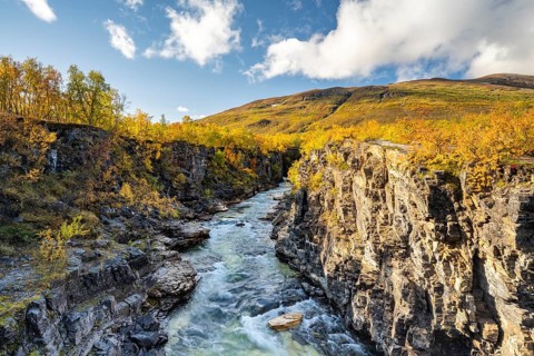 Autumn Abisko Canyon