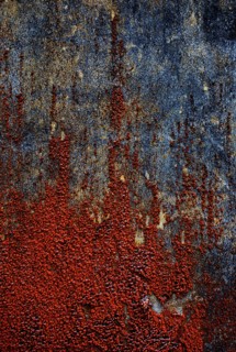 House facade with red algae growth